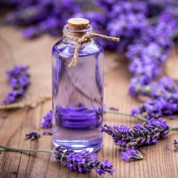 Lavender Essential oil for hair: Benefits
