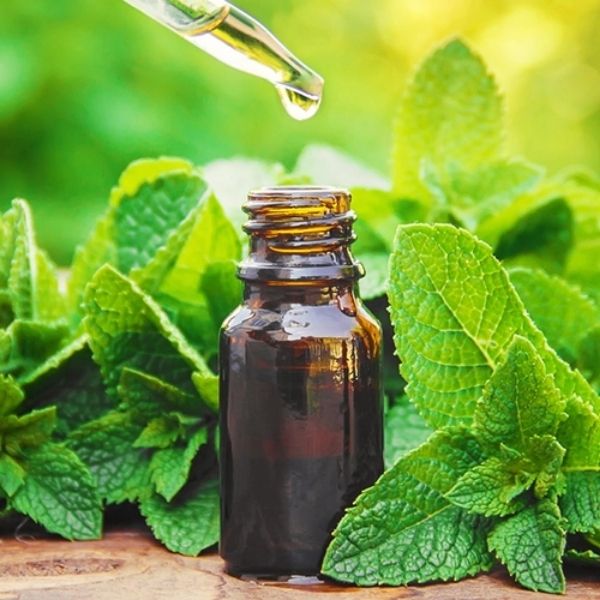 Discover the Top 7 Benefits of Using Peppermint Oils for Skin